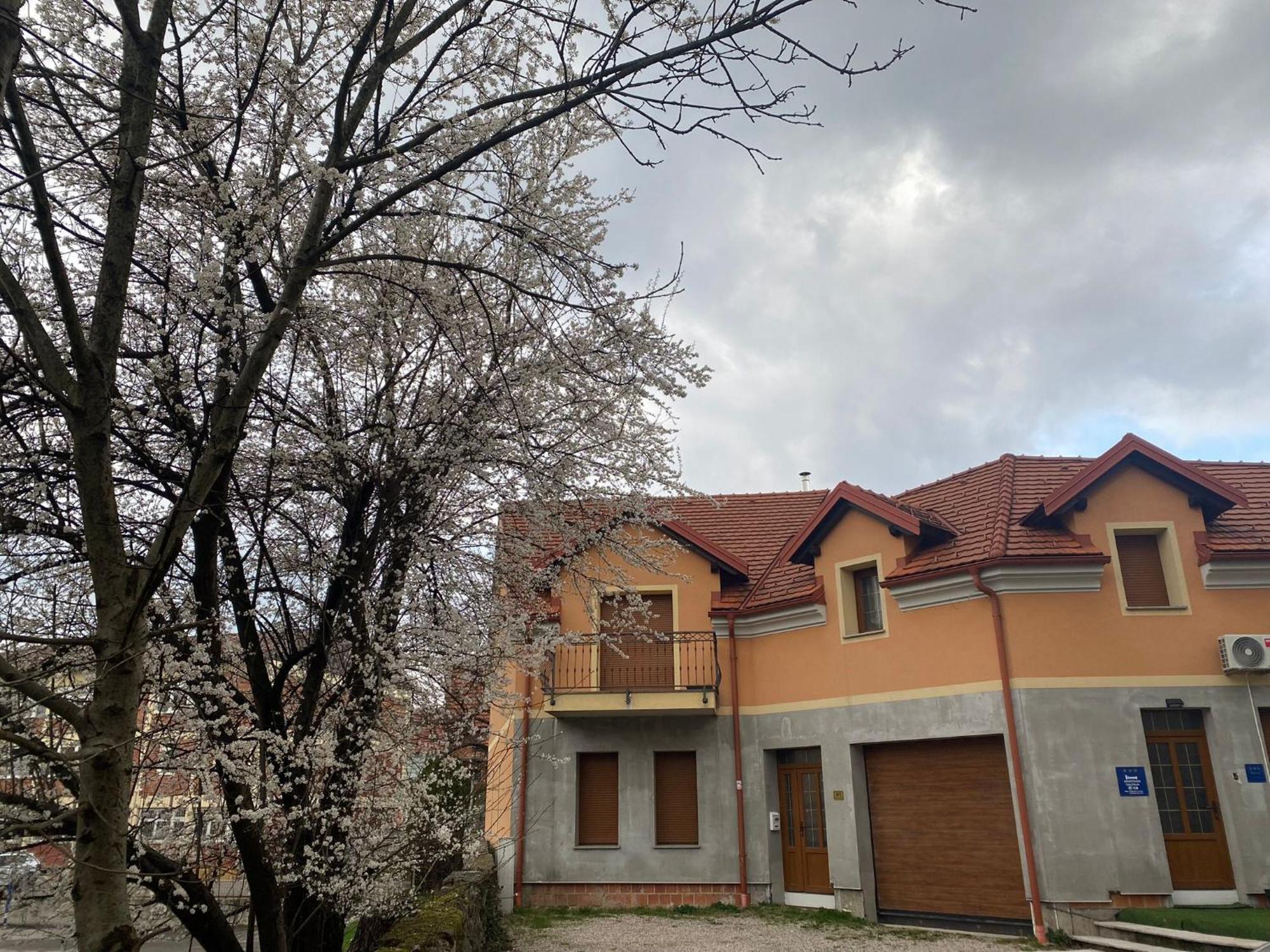 Apartman Galerija Ogulin Exteriör bild